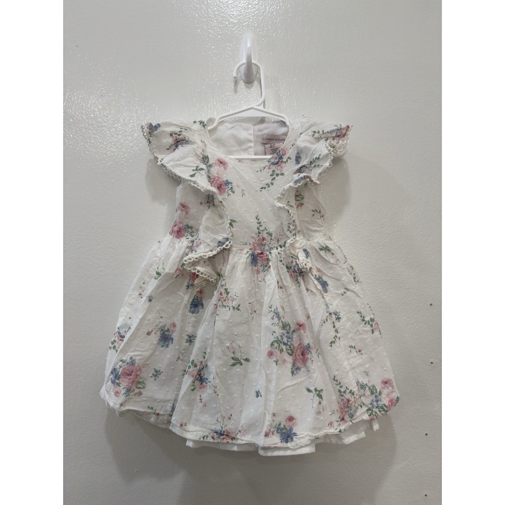 Catherine Malandrino white floral Baby Girl dress a pink and blue rose print 18M